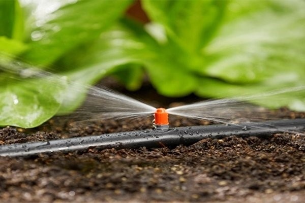 برای تکمیل تجهیزات آبیاری قطره ای لوله پلیکا بهتر است یا نوار تیپ آبیاری؟