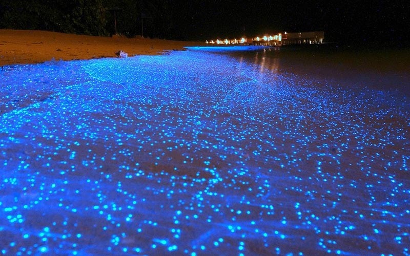 جاهای دیدنی چابهار در شب؛ معرفی ۶ مکان مهیج