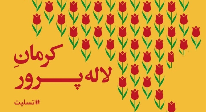 واکنش شاعران کشور به حادثه تروریستی کرمان/ کرمان را مثل لاله سرخ کرده‌اند