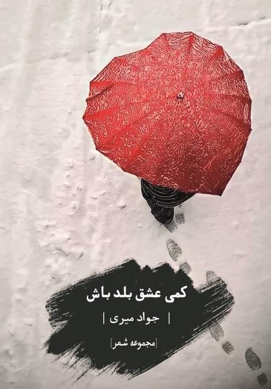 وکیلی با کتاب «کمی عشق بلد باش» شعرهایش را منتشر کرد