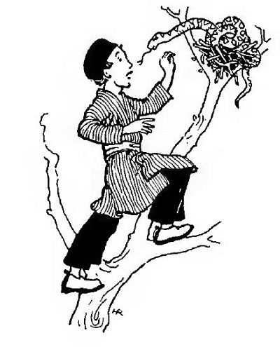 «قصههای بختیاری»؛ کتابی که ریشههای فرهنگ سنتی را بازروایی میکند