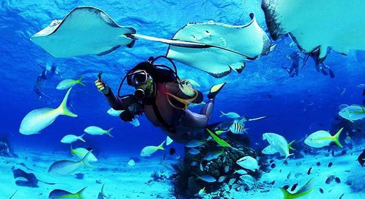 بهترین تفریحات آبی در کیش