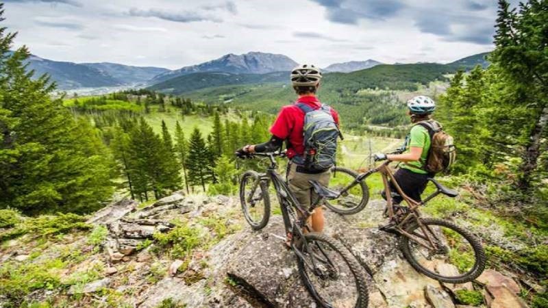 راهنمای سفر به جنگل اولنگ شاهرود