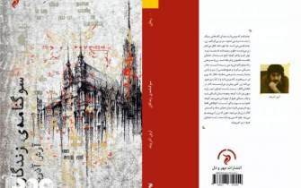 داستان کوتاه را کار تکنیکی ماهرانه میدانم/ اعتقادی به تدوین رمان ندارم