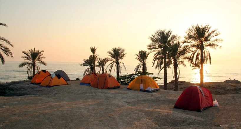 دیدن دلفینها در جزیره هنگام، خاطره ای فراموش نشدنی