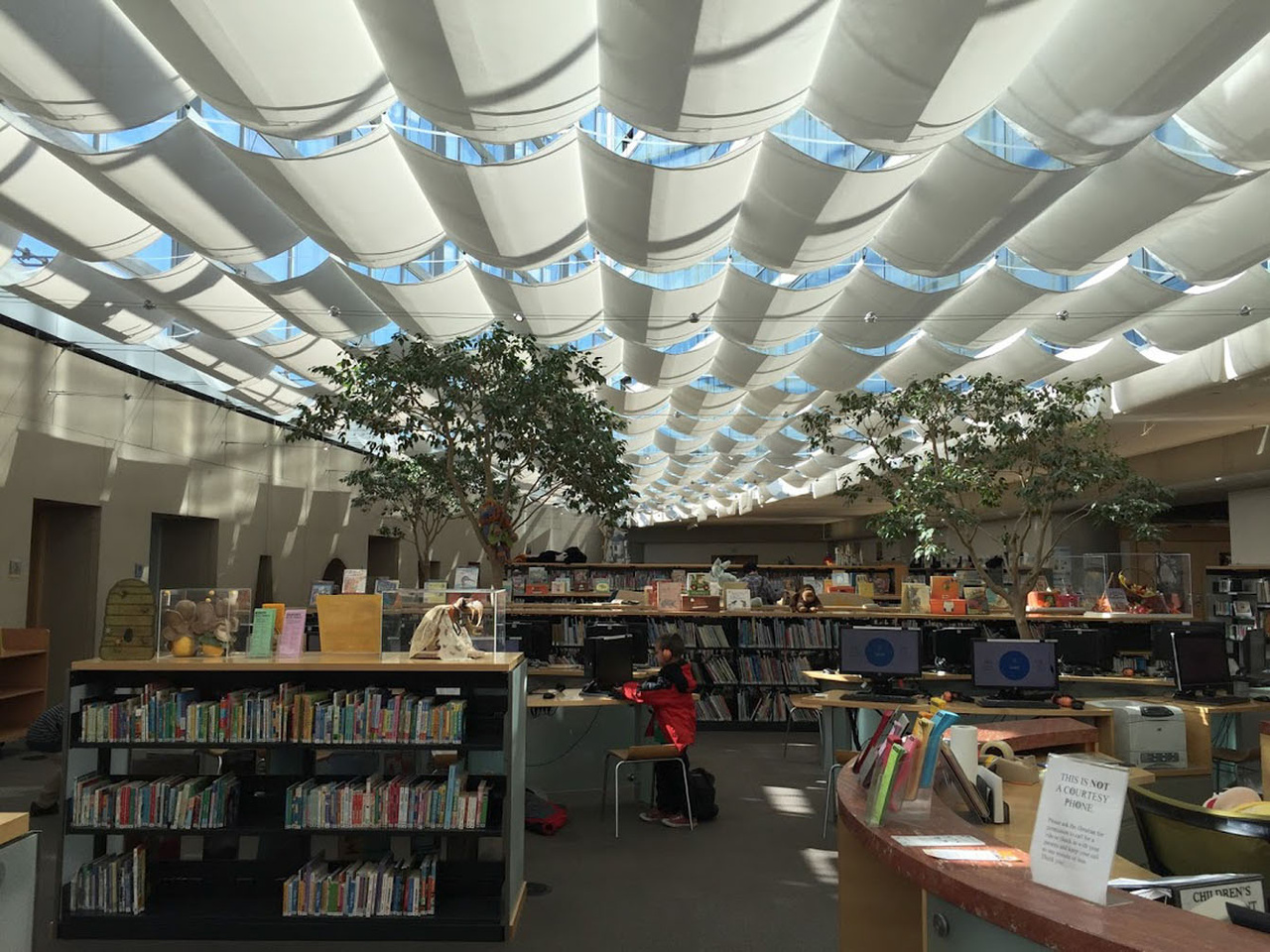 کودکان زیر سقف کتابخانه‌های جادویی
