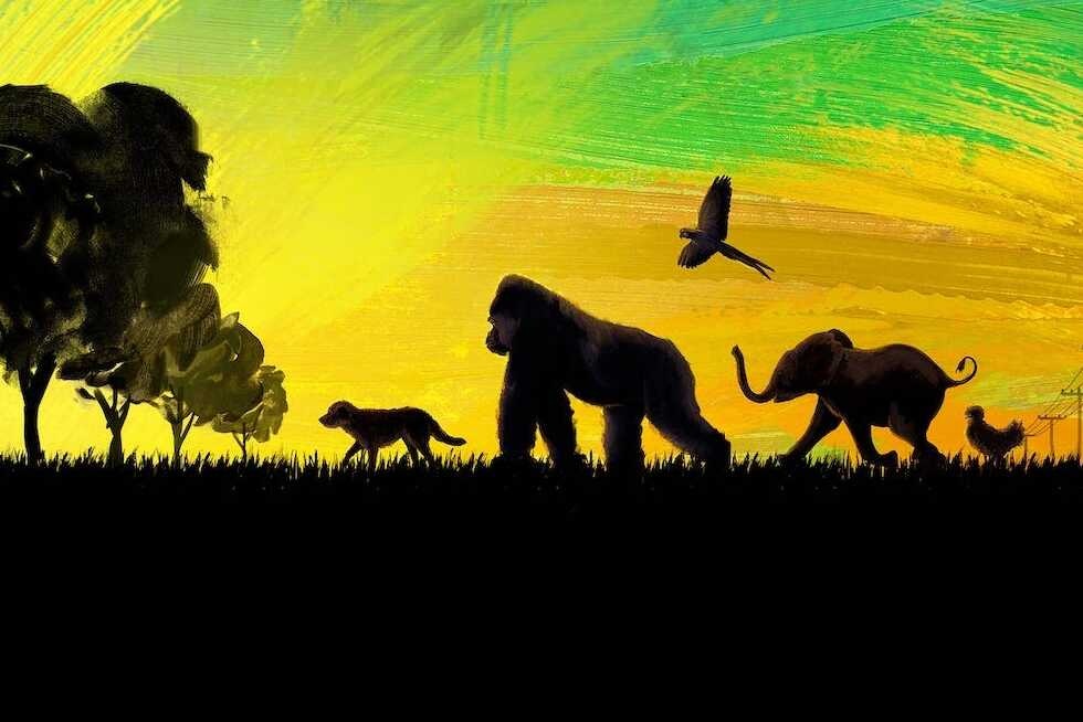 «ایوان منحصربهفرد»؛ اقتباسی از یک رمان نوجوان