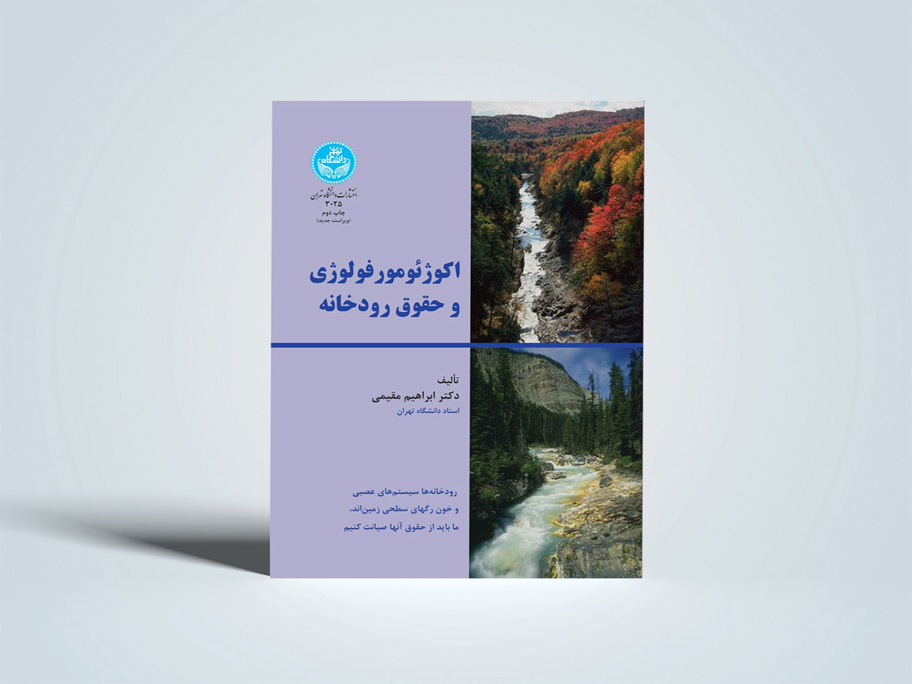 رودخانه، مکانیک و حقوق آن چیست؟/ معرفی ۴ کتاب تخصصی درباره رودخانهها