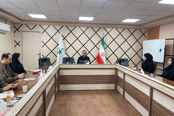 قصهگویی بسیاری از مشکلات کودکان را حل میکند قصهگویی بسیاری از مشکلات کودکان را حل میکند