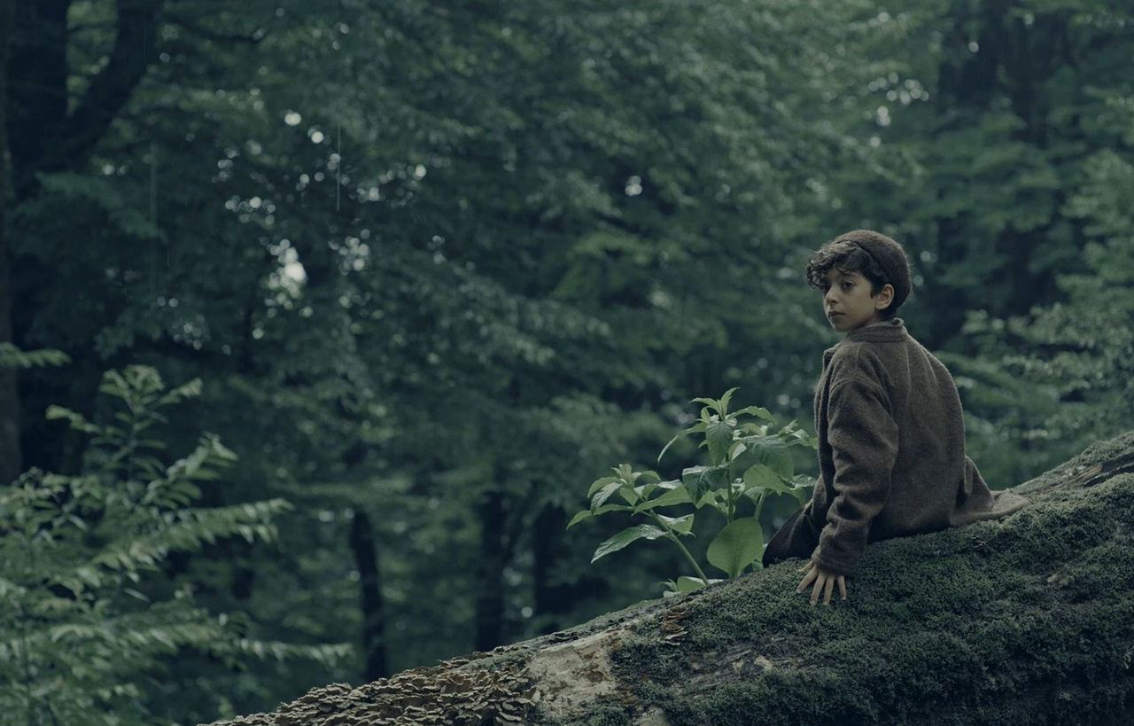 فیلمهای «کتاب و سینما» از چه کتابهایی اقتباس شدهاند؟