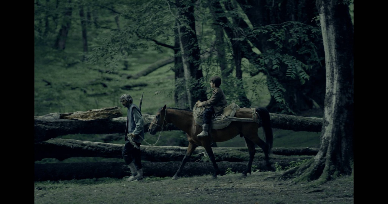 بازخوانی فیلمهای اقتباسی جشنواره چهلویکم فیلم کوتاه تهران