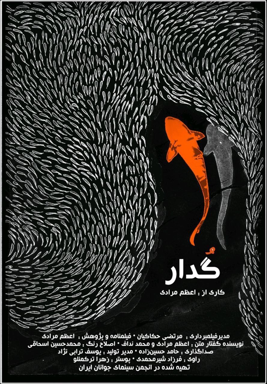 بازخوانی فیلمهای اقتباسی جشنواره چهلویکم فیلم کوتاه تهران