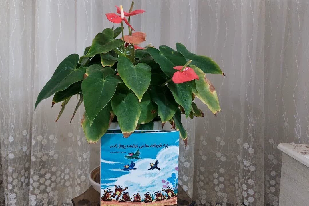 ۳ کتاب در حوزه کودک و نوجوان منتشر و روانه بازار کتاب شد ۳ کتاب در حوزه کودک و نوجوان منتشر و روانه بازار کتاب شد