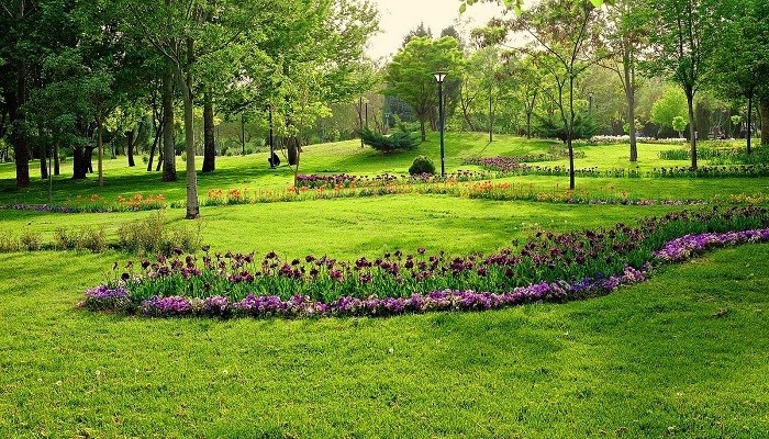 پارک ملت مشهد؛ جاذبهای سرسبز در شمال شرق ایران