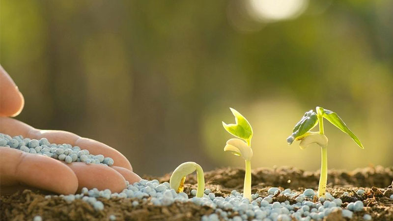 کدام کود برای فصل بهار مناسبتر است؟ کود ارگانیک یا کود شیمیایی؟