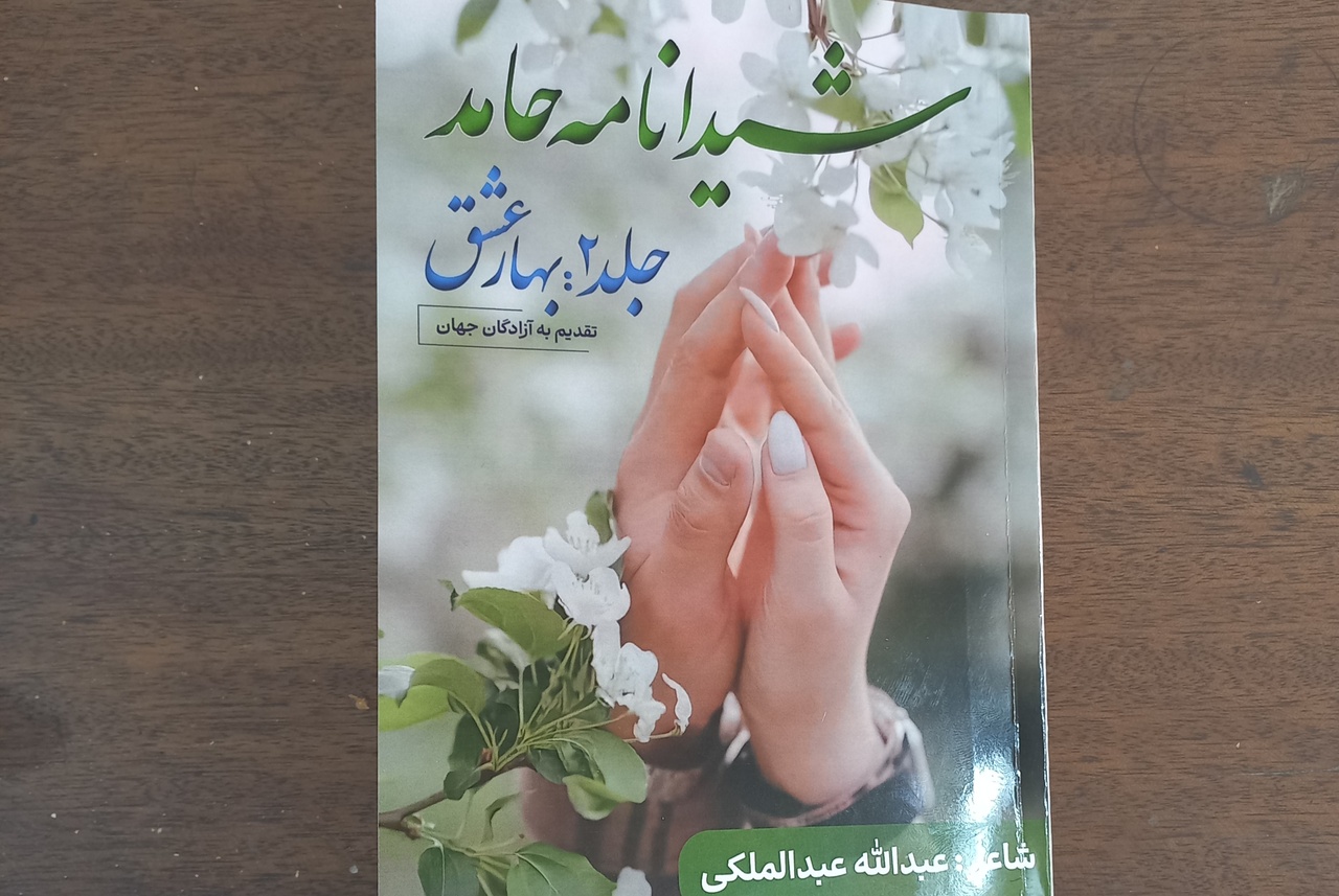 «شیدانامه حامد»؛ روایت عشقهای خیابانی روانه بازار کتاب شد