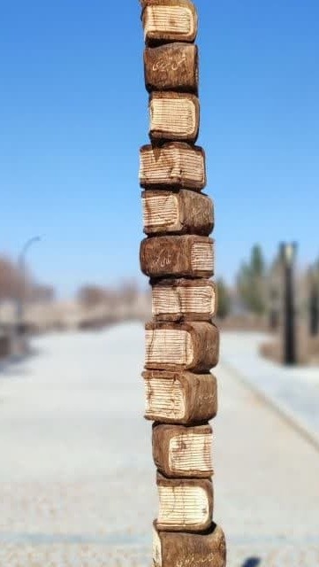 کتاب به خیابانهای شهرداری منطقه ۱۲ مشهد آمد