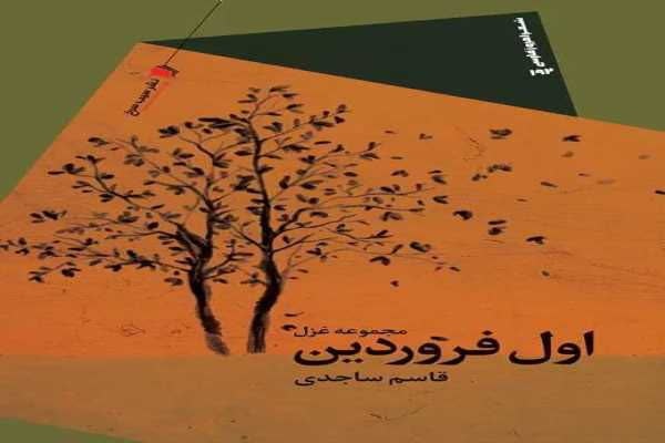 نویسنده جوان ایلامی ۲ کتاب را برای مطالعه در نوروز پیشنهاد داد