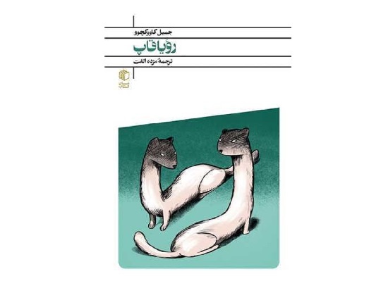 در ایران به حد کافی به ادبیات ترکیه توجه نشده است