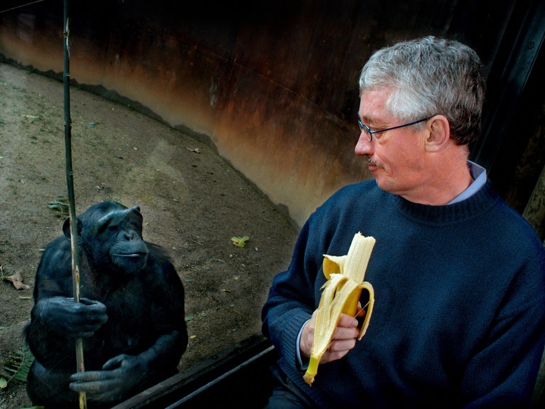 تا کجا حق داریم به جانوران رنج وارد کنیم؟