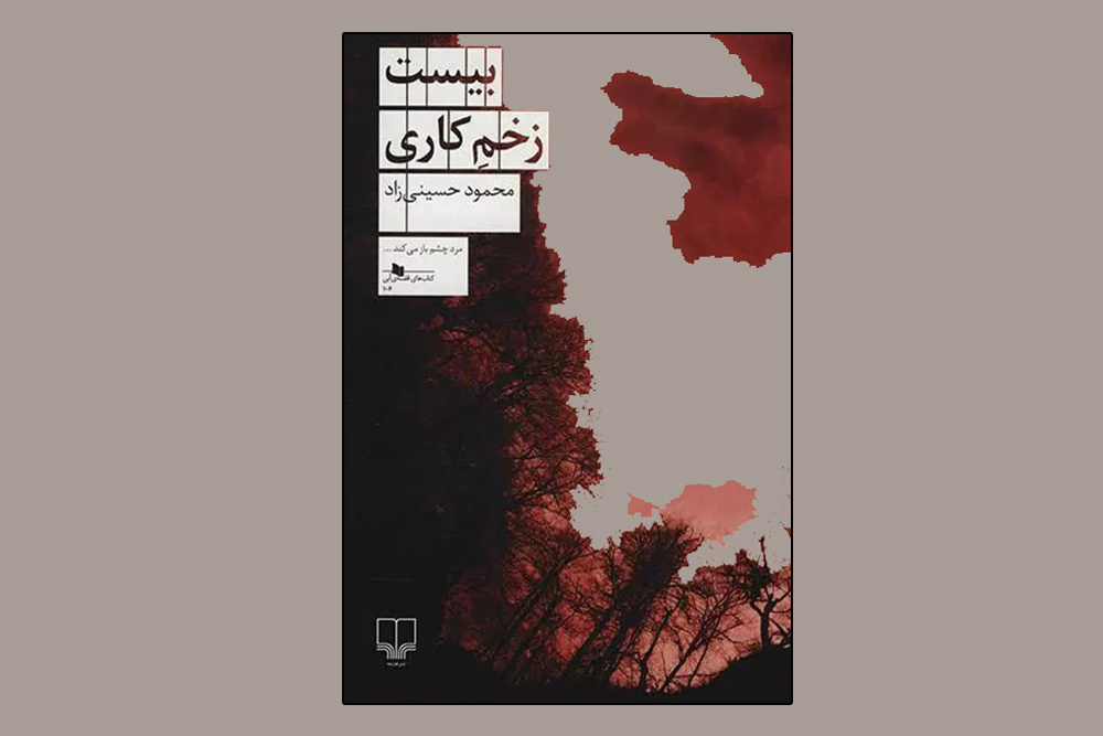 هنوز در حیطه زبان بیستسالگیام مینویسم