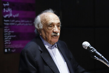 سخنرانی حسن انوری در شب زبان و ادب فارسی