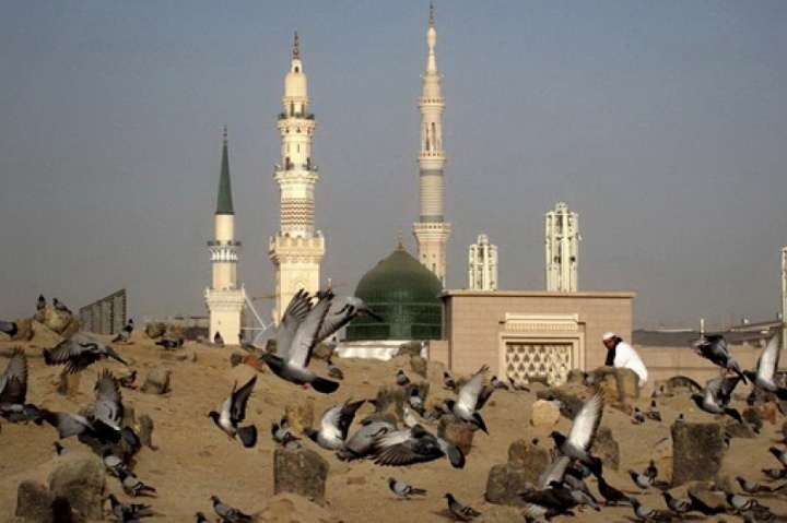 در جستجوی اسلام راستین