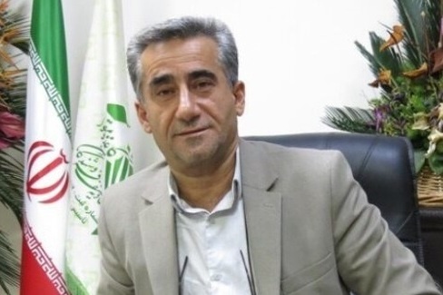 تداوم کاهش قیمت کاغذ/نرخ ارز تعیین‌کننده است