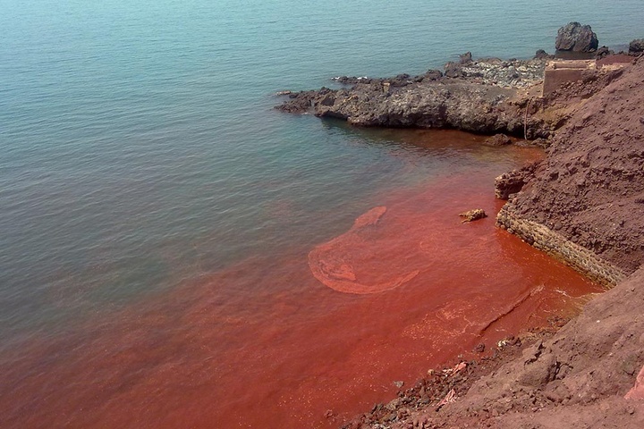 داستان‌هایی از آب‌های گرم خلیج فارس