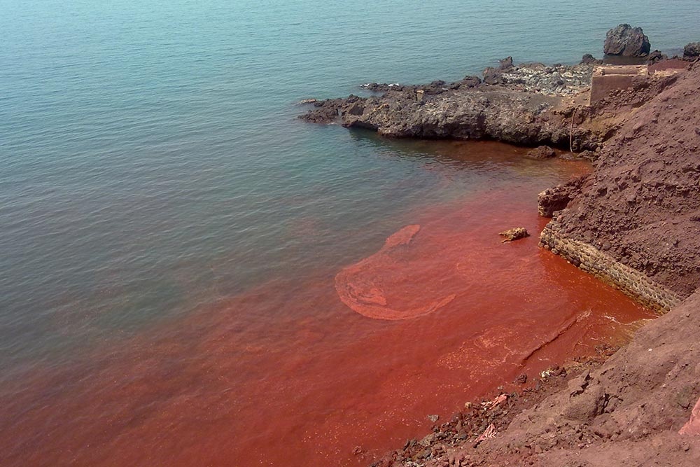 داستان‌هایی از آب‌های گرم خلیج فارس