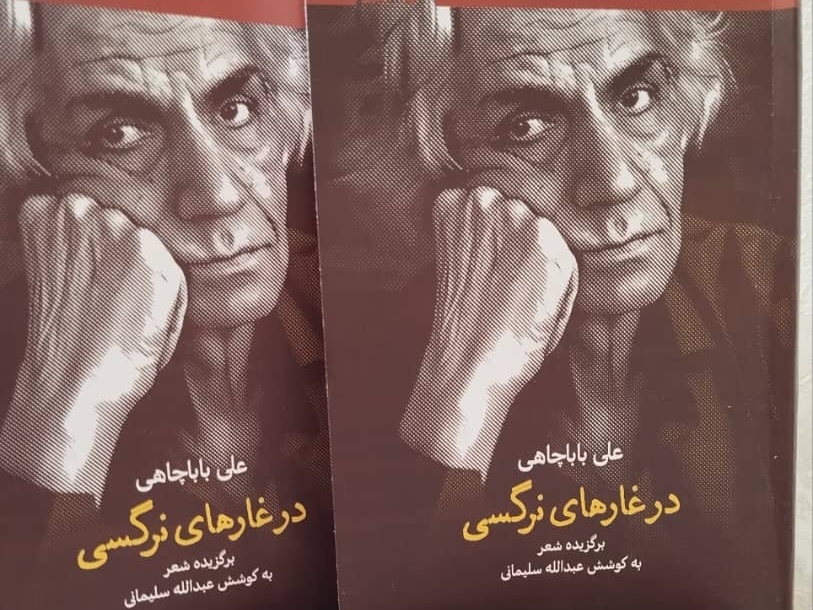 کتاب «در غارهای نرگسی» روانه بازار شد