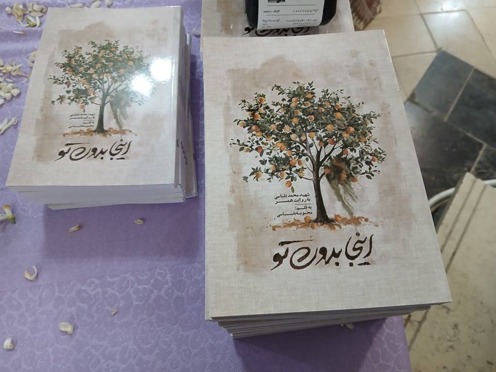 رونمایی از کتاب «اینجا بدون تو» در قائمشهر