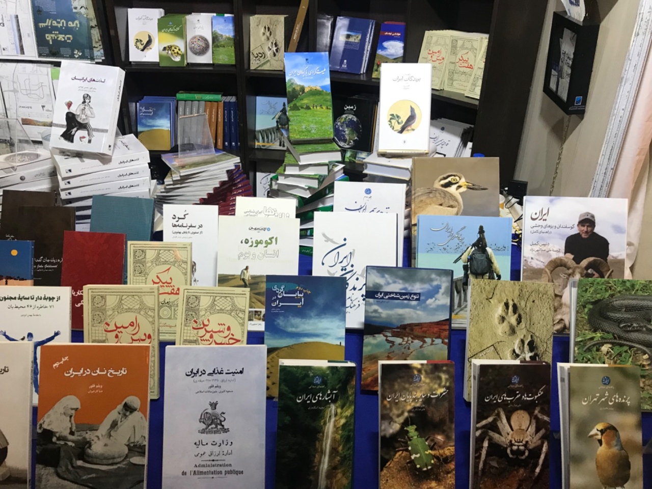 پرچم‌های ملی و فراملی جهان