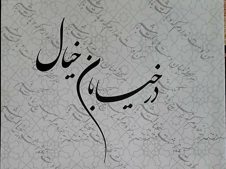 کتاب «در خیابان خیال» در ملایر رونمایی شد