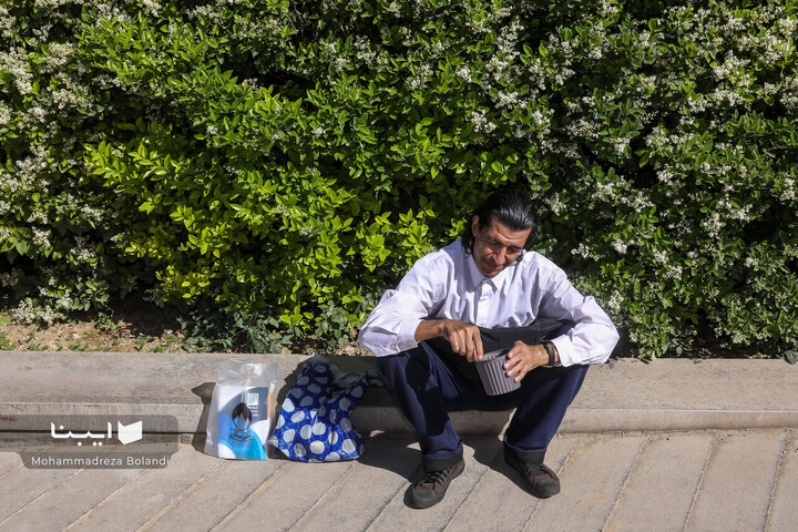 روز دهم از نگاه عکاسان ایبنا