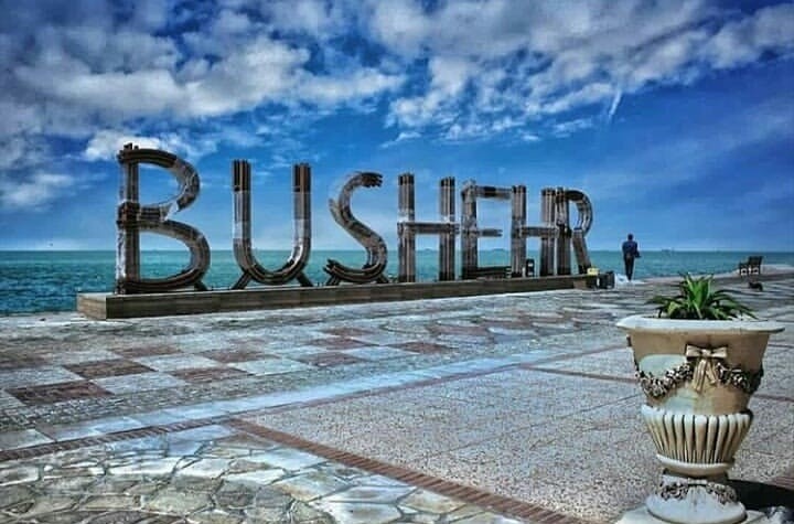 پایتختی کتاب در بوشهر رنگ باخت