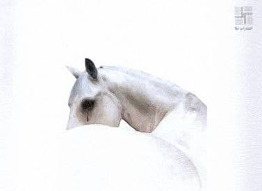 نمایشنامه اکوئوس (اسب) توسط نشر نیلا منتشر شد