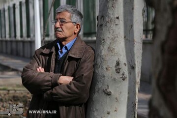 برگ‌هایی از درخت هیچ