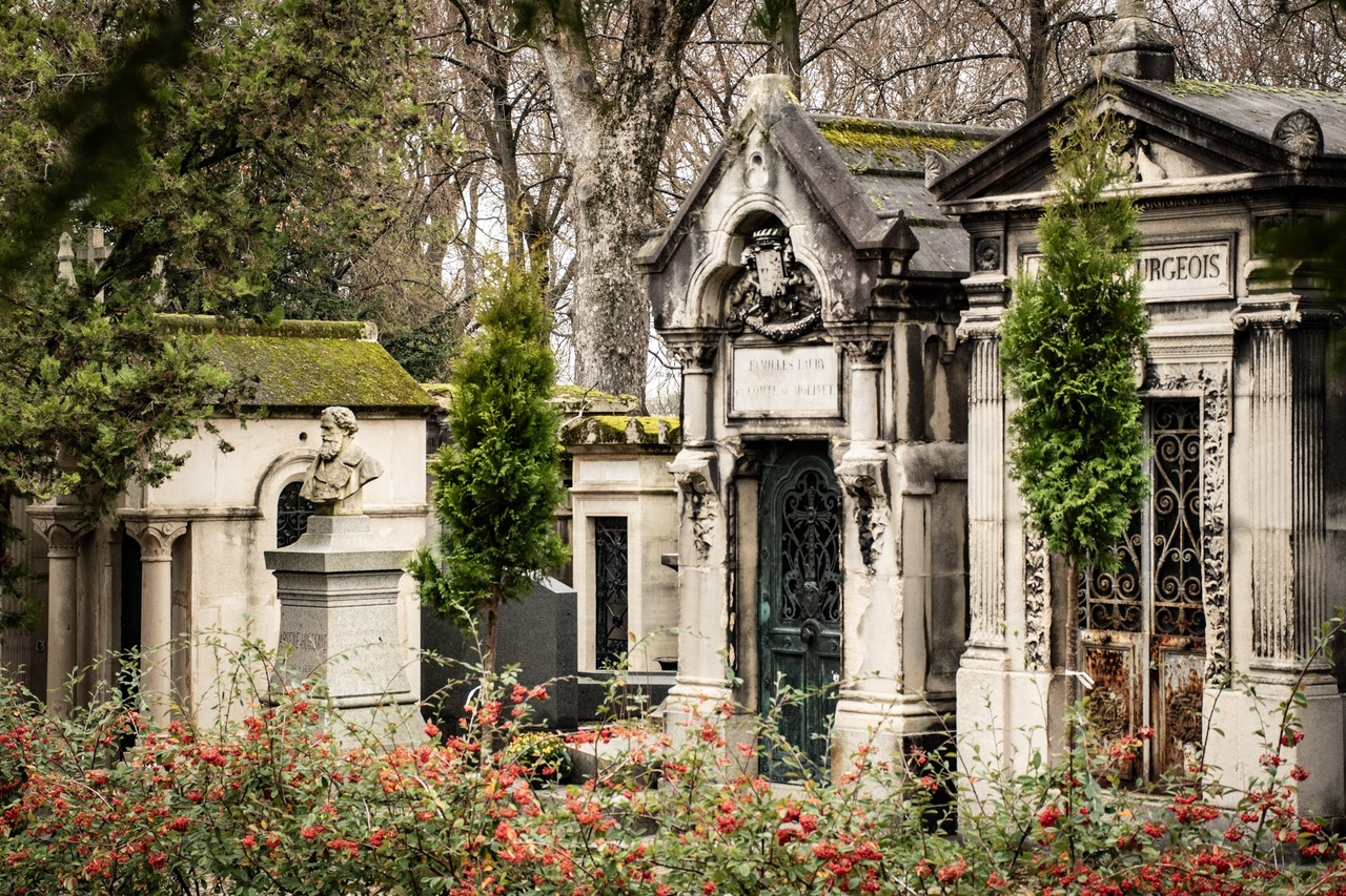 شاعرانه، خشونت‌بار و روشنفکرانه