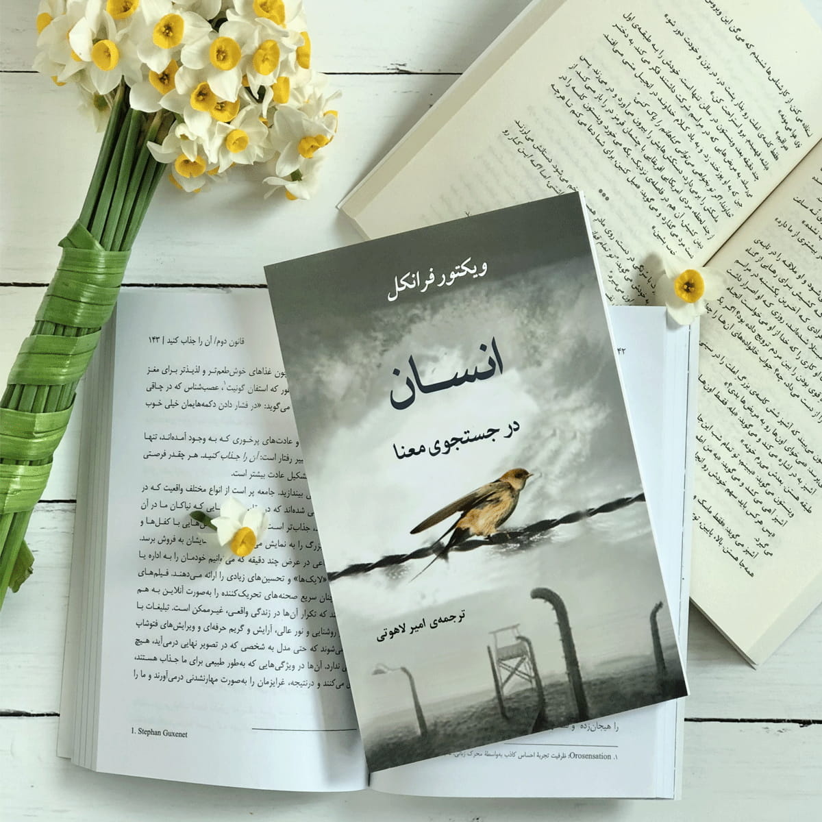 رنج معناساز