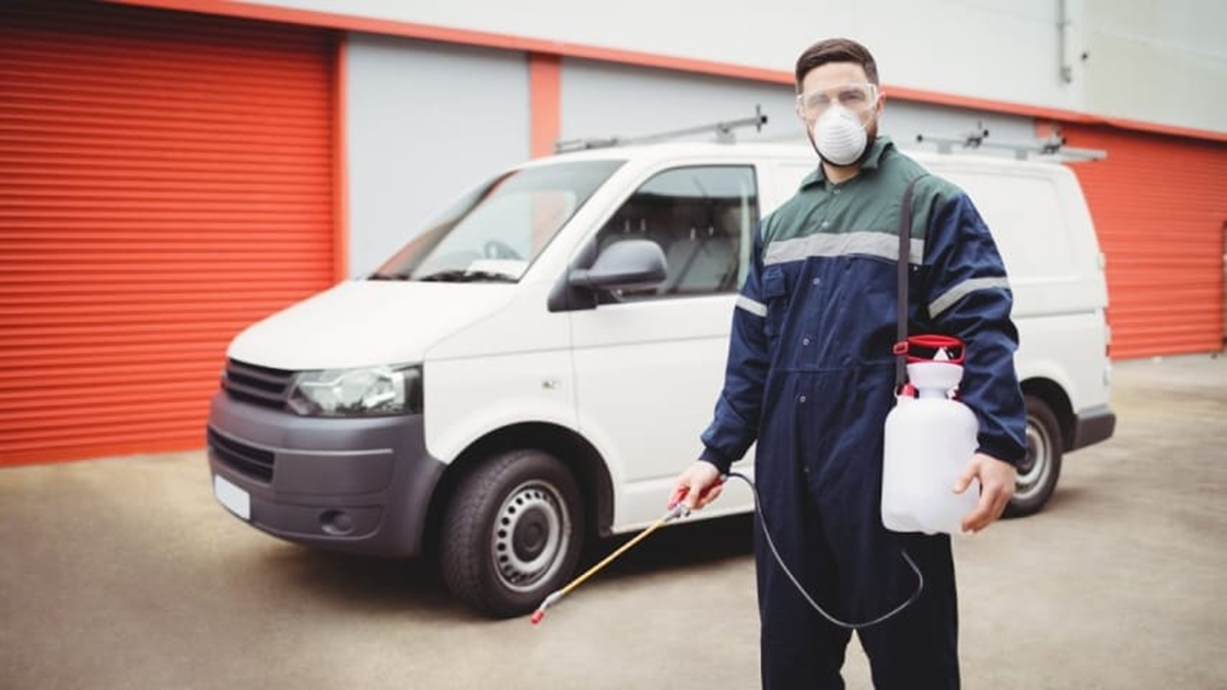 خطرات پنهان حشرات و جانوران موذی منازل تهران + دفع کامل با سمپاشی