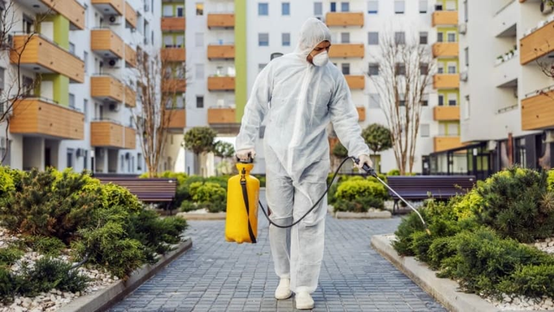 خطرات پنهان حشرات و جانوران موذی منازل تهران + دفع کامل با سمپاشی