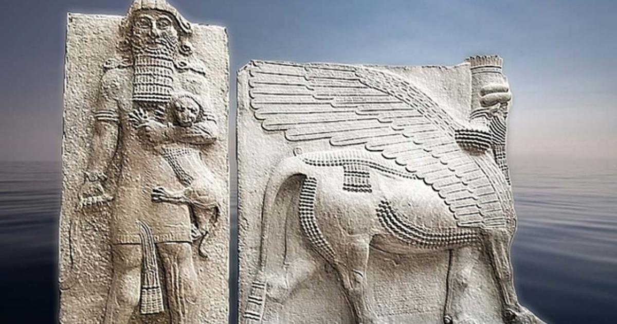 راز حیات جاودانی