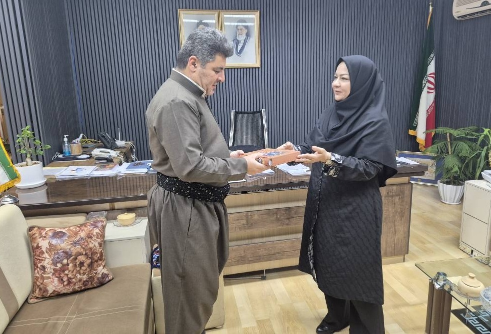 کتابخانهها قلب فرهنگی شهرند/ تاکید بر نقش محوری کتابخانههای مریوان