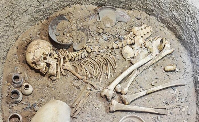 کشف قدیمیترین انیمیشن جهان