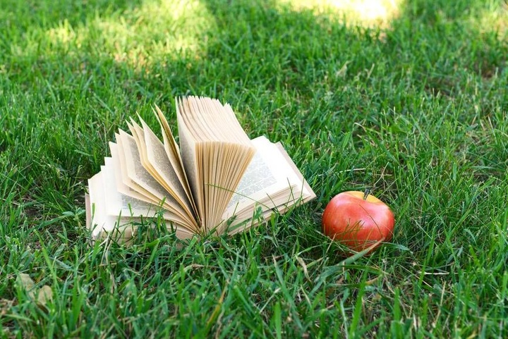 در ستایش بازگشت به خواندن