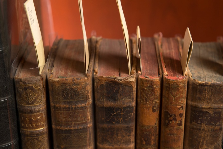 تاریخ آدم را پیر می‌کند