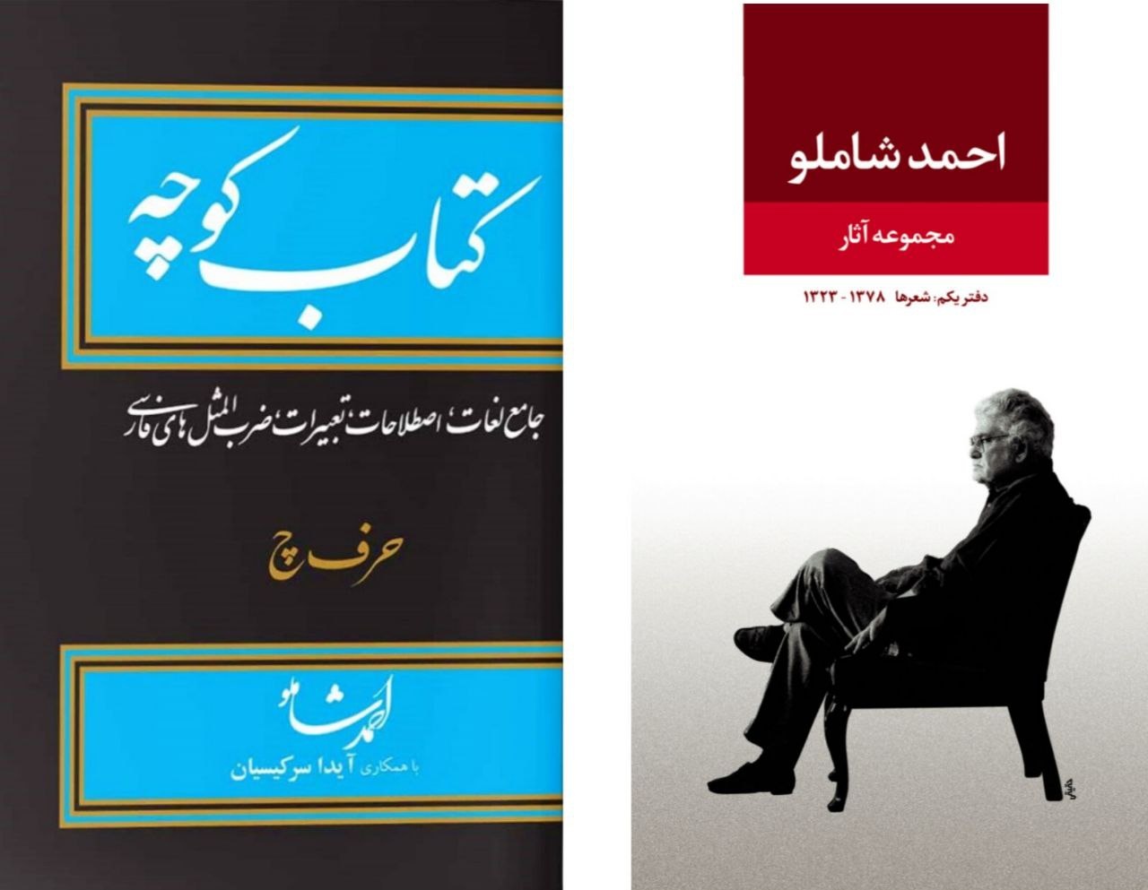 اگر شعرهای موفق شاملو ترجمه شوند، جهان او را خواهد شناخت