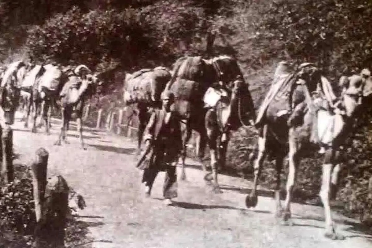 عکسی قدیمی از جاده قزوین-رشت عکسی قدیمی از جاده قزوین-رشت