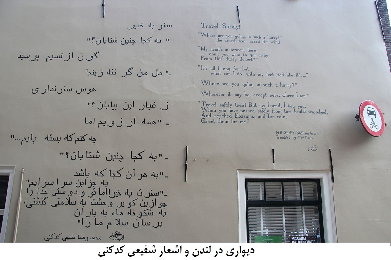 در سایهسار سروِ کدکن/ سفری کوتاه به زندگی محمدرضا شفیعیکدکنی